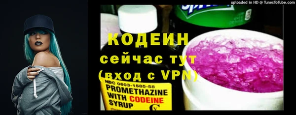 дурь Арсеньев
