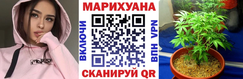 гидра маркетплейс  купить наркоту  Копейск  Шишки марихуана OG Kush 